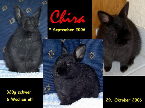 Chira